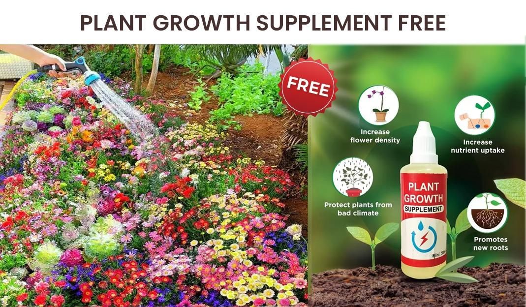 Varieties of Flower Seeds (Pack of 100) + Free Plant Growth Supplement