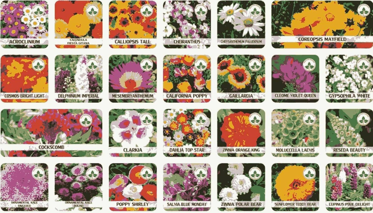 Varieties of Flower Seeds (Pack of 100) + Free Plant Growth Supplement